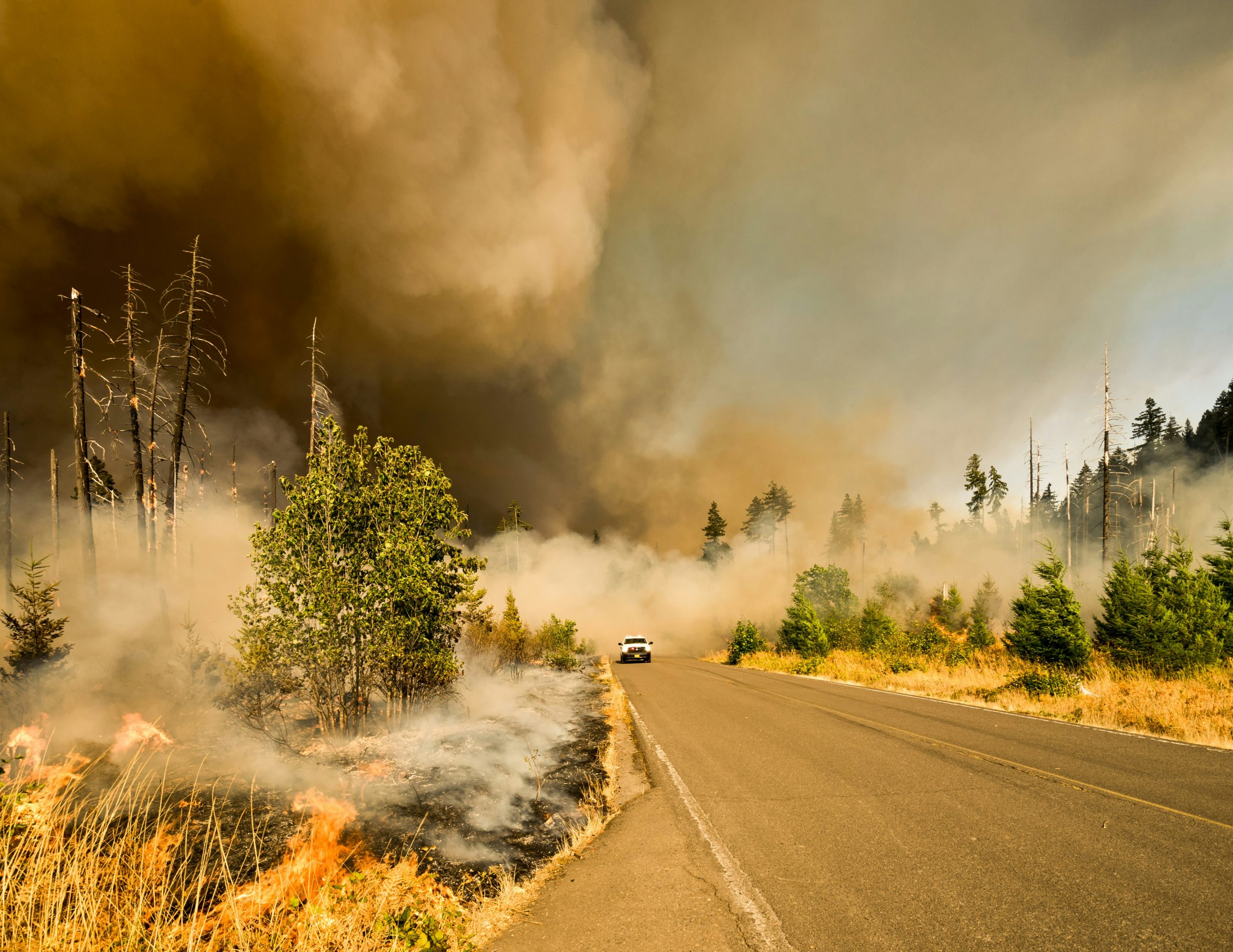 Accidental Rancher: Of Fires and Floods, of Joys and Sorrows