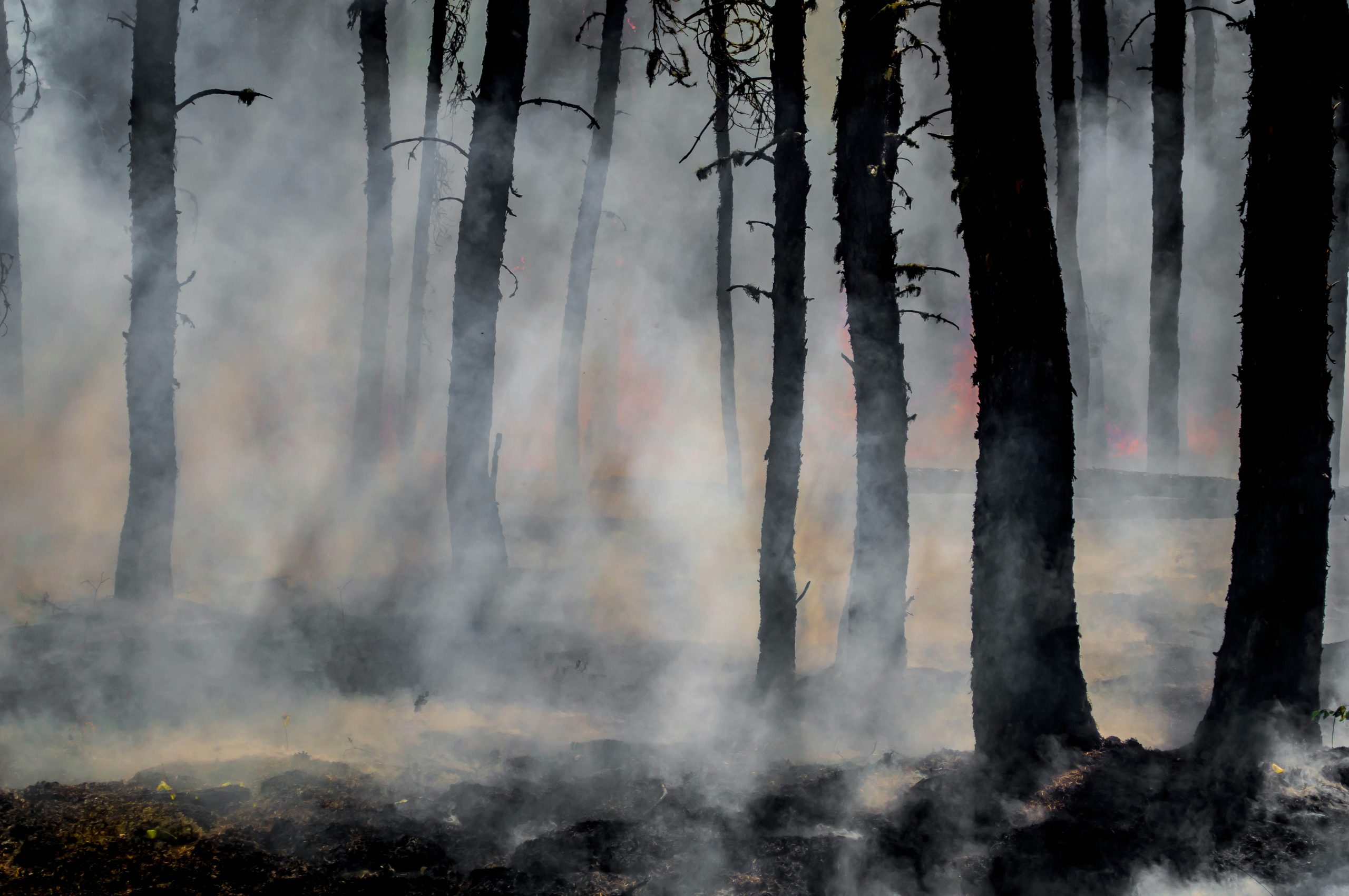 ‘Praying for Rain': How New York Farmers Are Dealing With Drought — And Unexpected Brush Fires